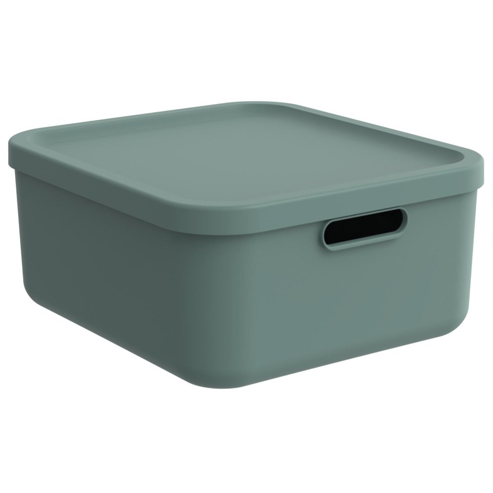 Decoratie opbergbox Albula Light 20 L mistletoe groen
