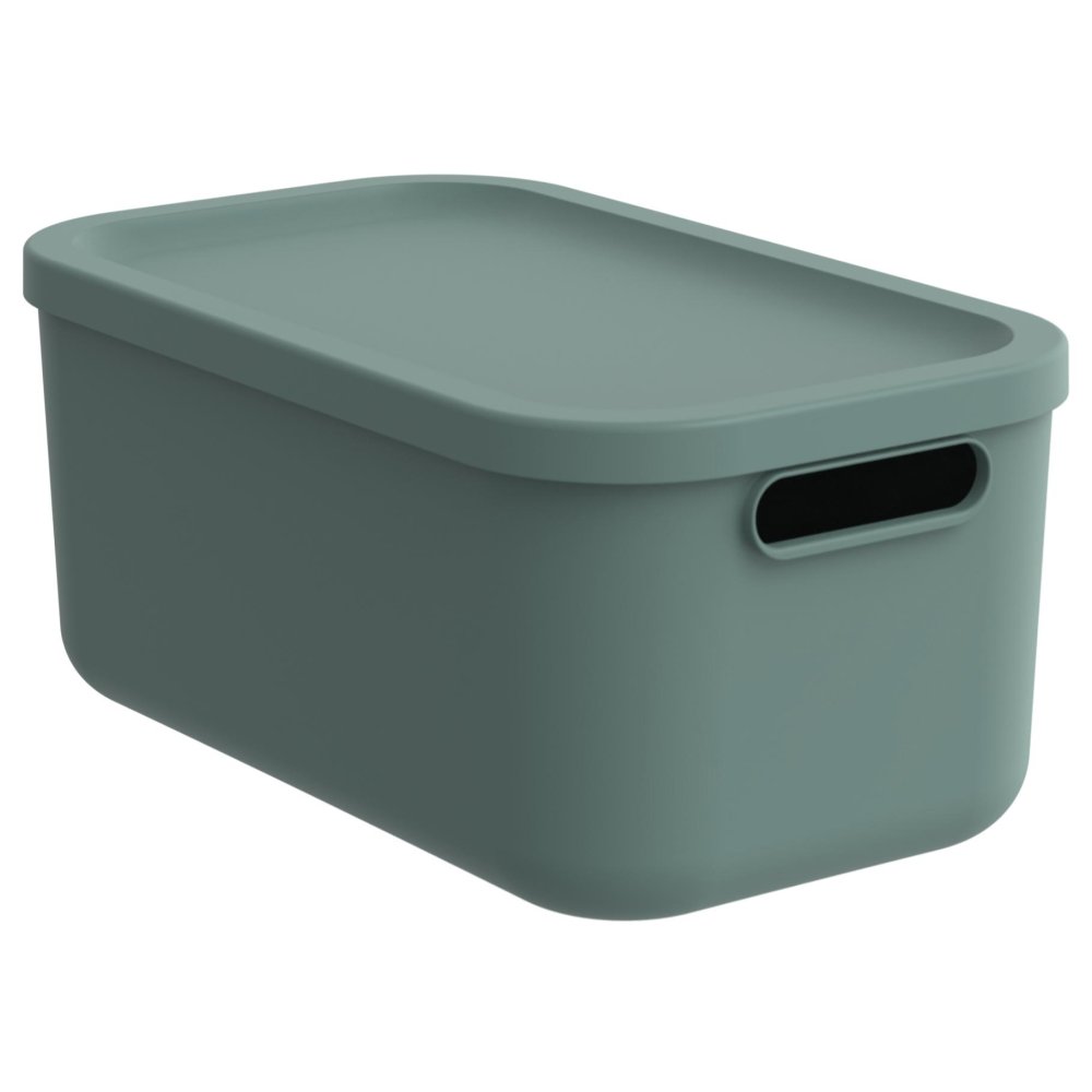 Decoratie opbergbox Albula Light 12 L mistletoe groen