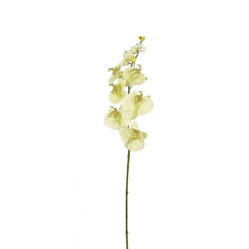 Kunst bloem orchidee creme 85 cm