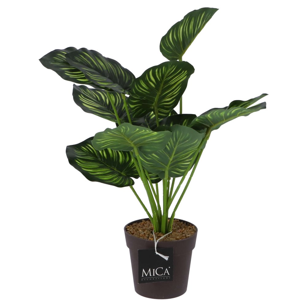 Kunstplant Calathea in pot groen 40 cm