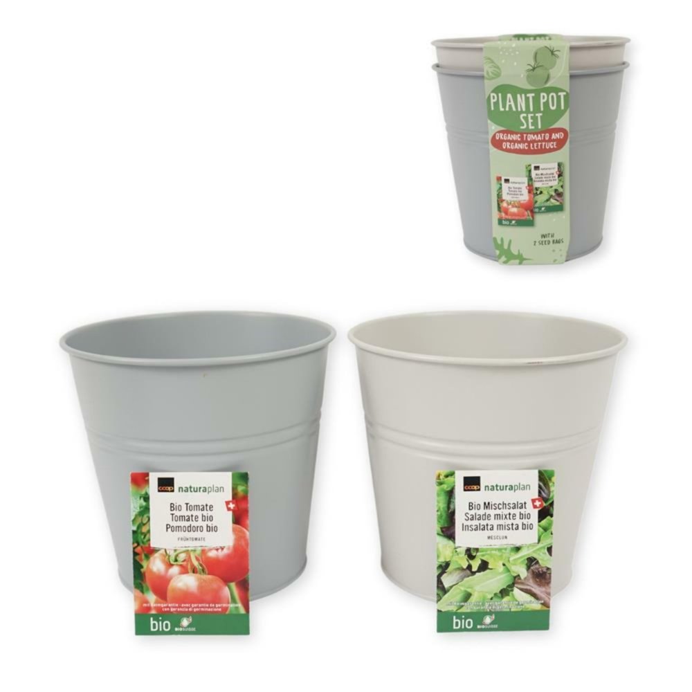 Kweekset emmer bio tomaten en sla 17cm metaal