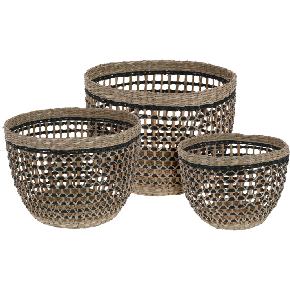 Baskets Around Seagrass Set3