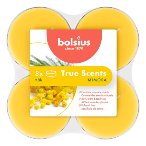 Maxilights clear cup 8h True Scents Mimosa