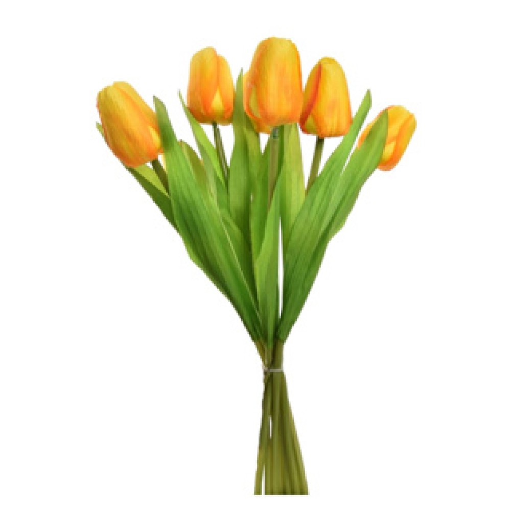 Tulip bouquet 7 tulips 35 cm assorti (range of random version))