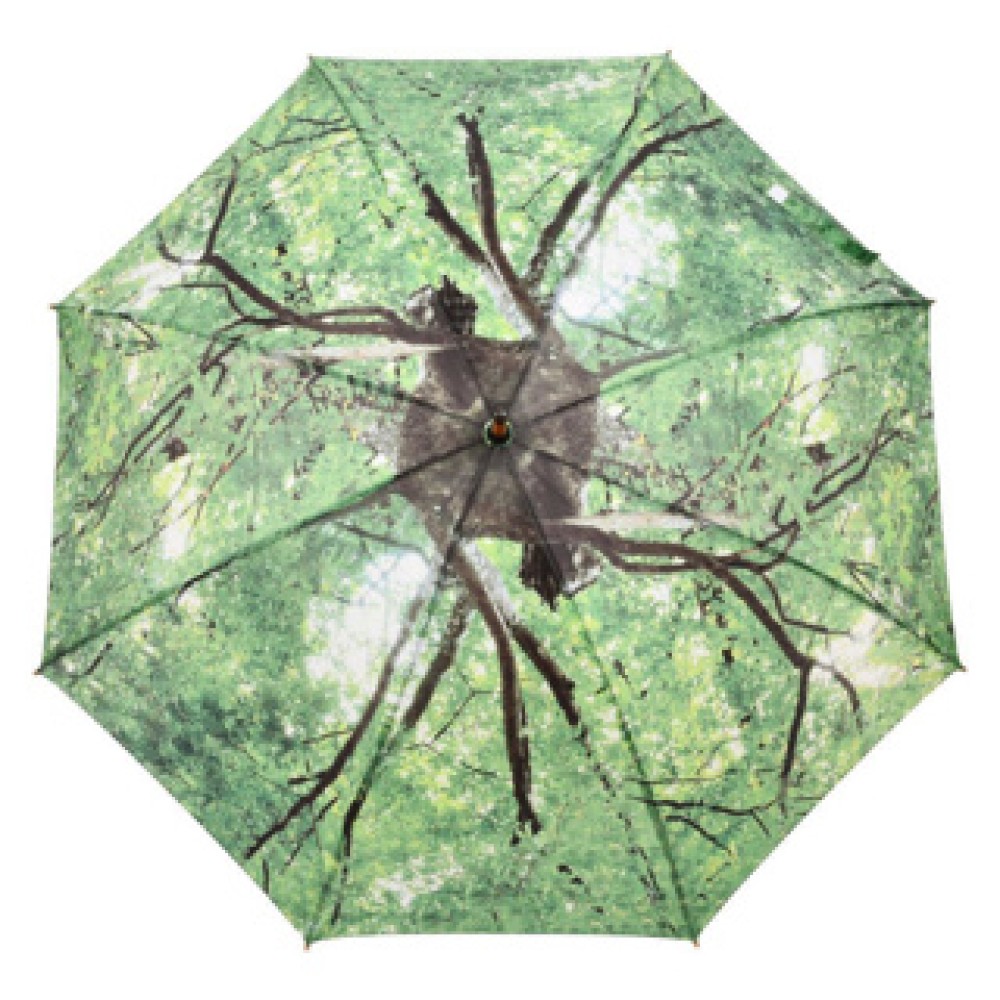 Umbrella tree crown