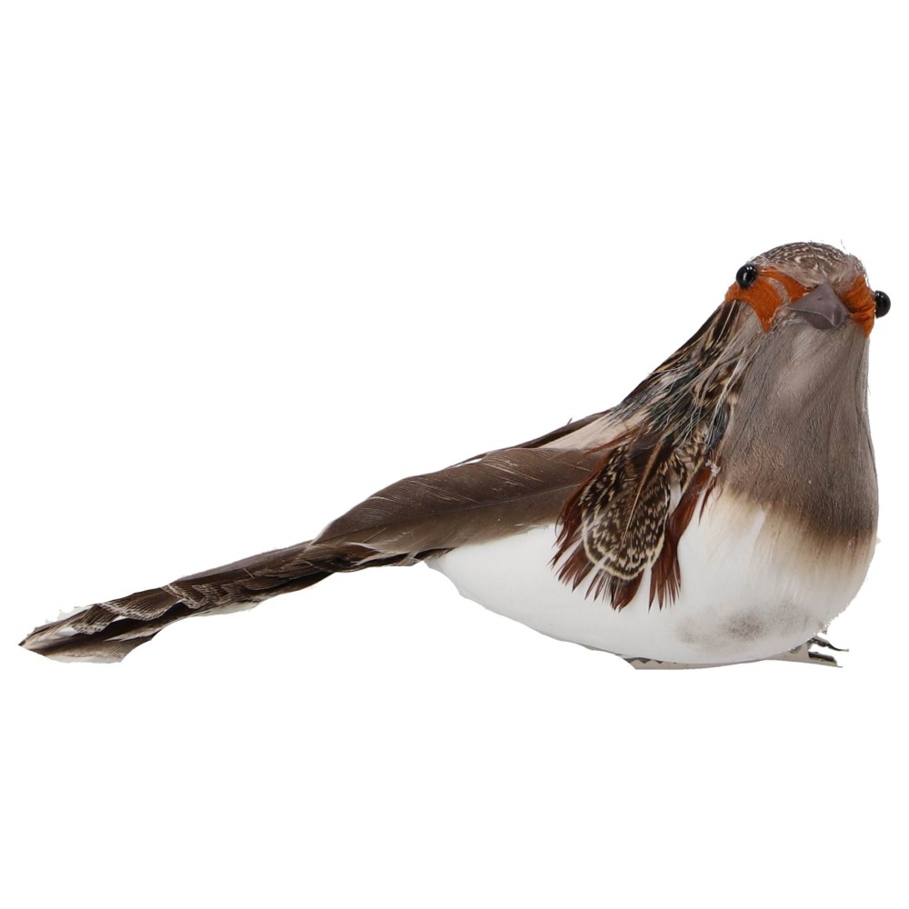 Bird foam on clip 3ass