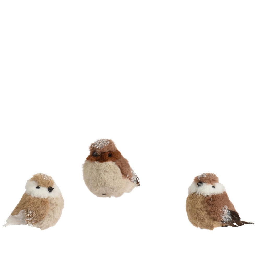 Bird polyester 3ass (range of random version))