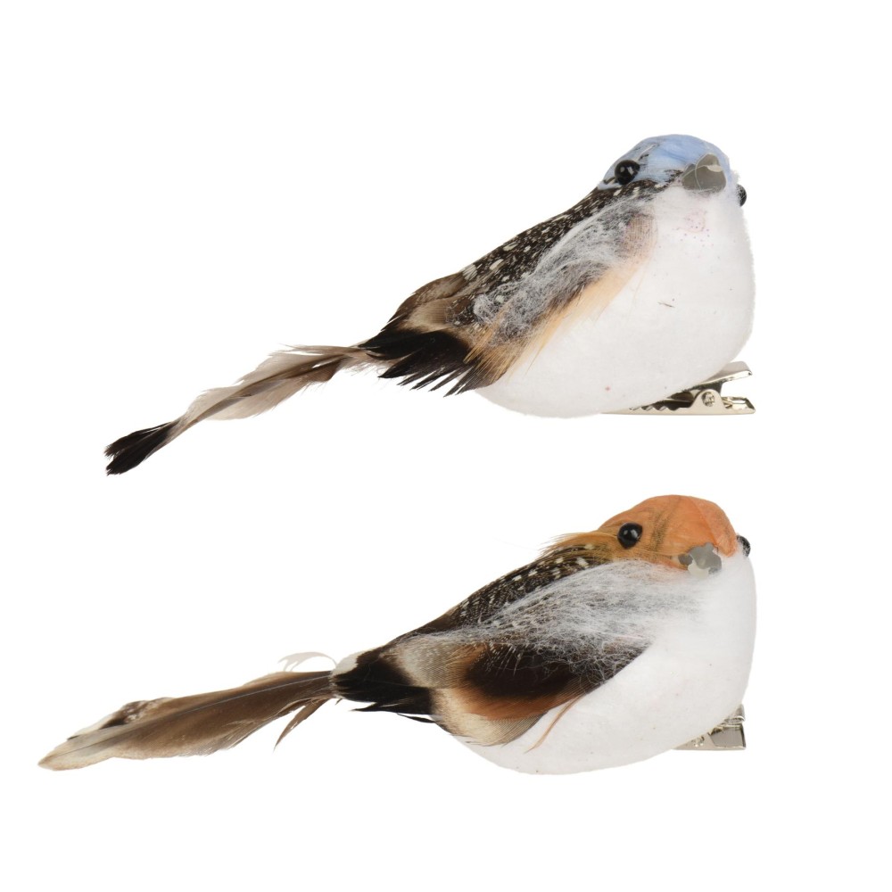 Bird foam on clip 2col ass (series of random version))