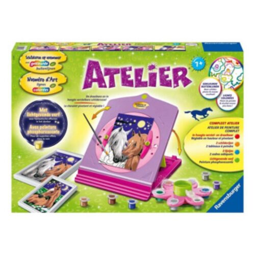 Ravensburger Schilderen Op Nummer atelier met 2 schilderijen en lichtgevende verf