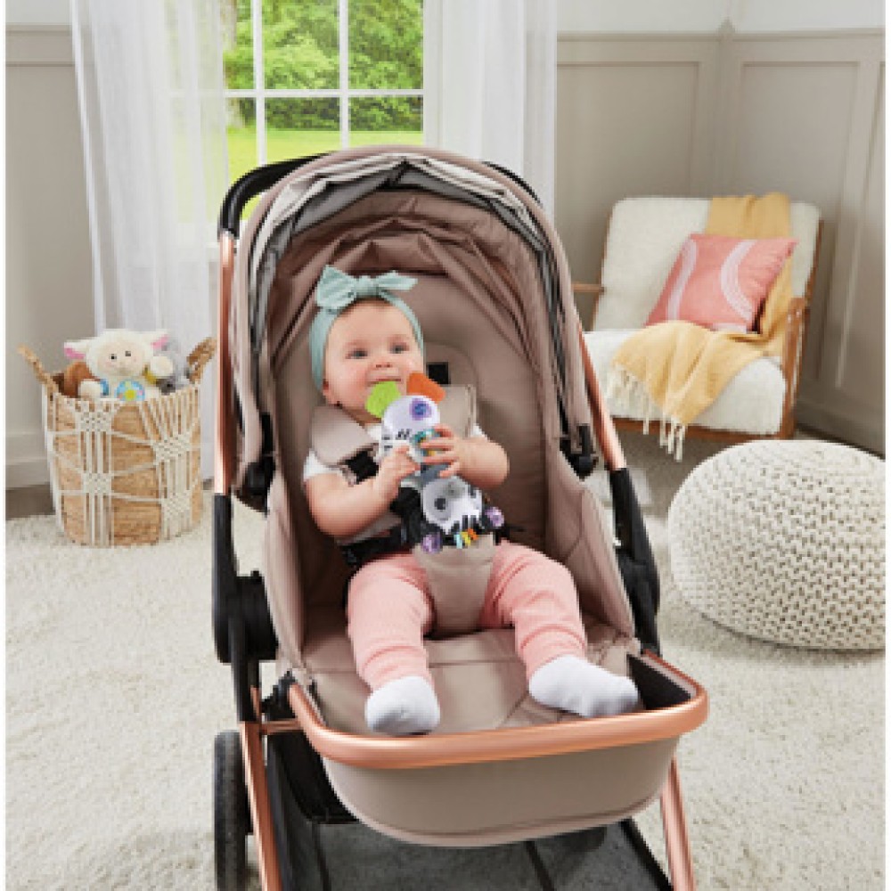 Vtech Baby Animal Boyfriends Rambling Zebra