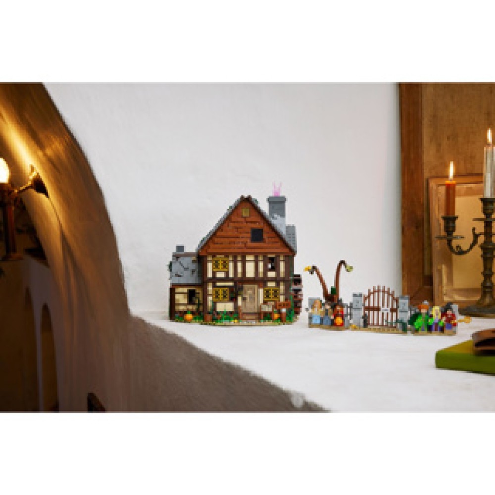 LEGO 21341 Disney Hocus Pocus - Image 3