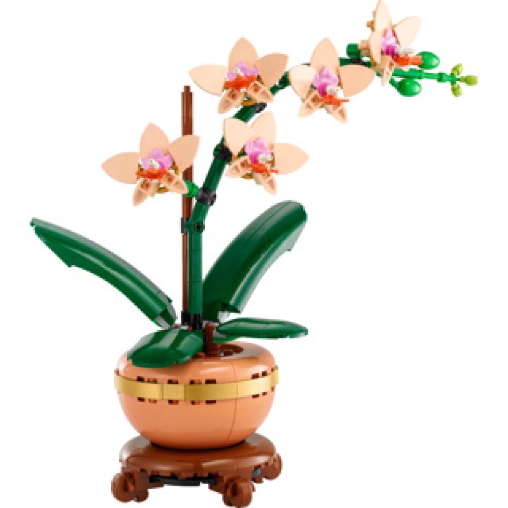 LEGO 10343 Botanicals Miniorchidee - Image 2