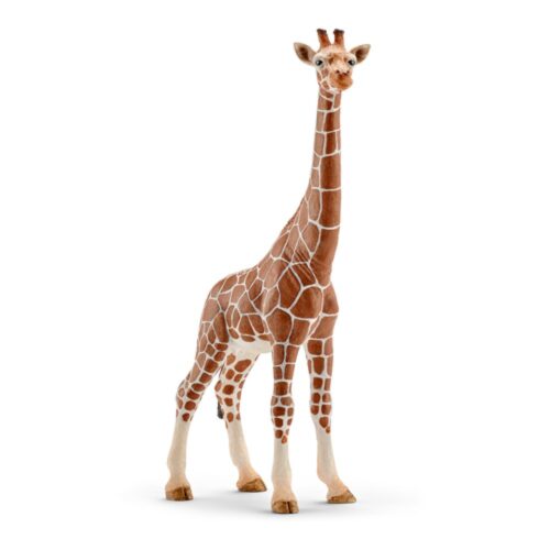 Schleich 14750 Giraf, Wijfje