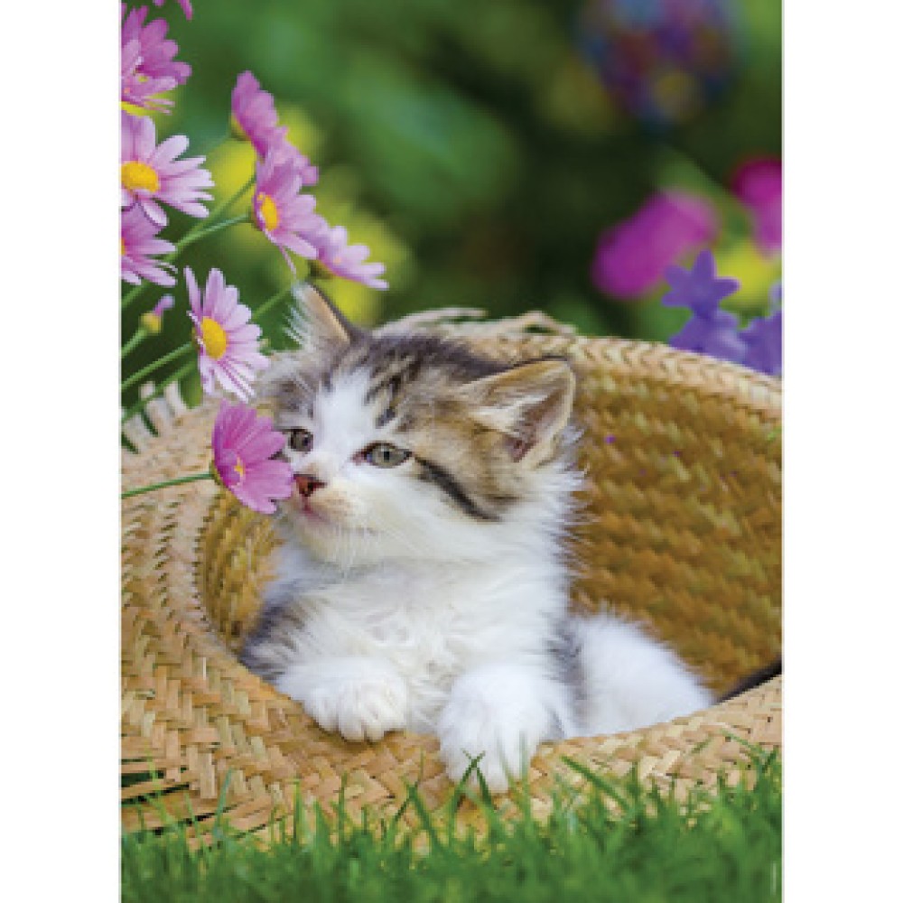 Ravensburger Puzzle Cats 2x 500 pieces