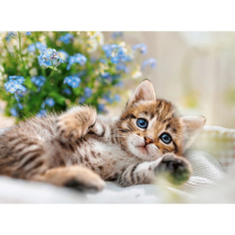Ravensburger puzzel schattige kitten 500 stukjes