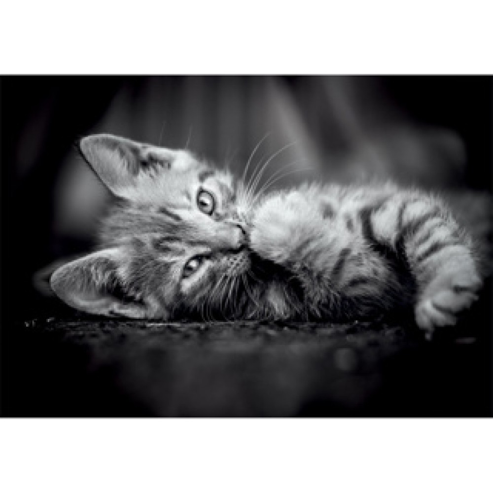 Clementoni Puzzel 1000 stuks kitten compact
