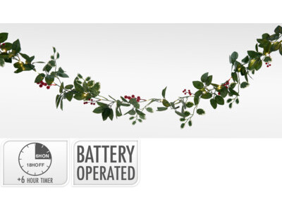 Guirlande met 25led 180cm