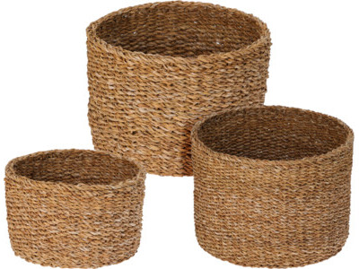 Basket 3sts around seagrass