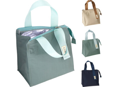 Koeltas/lunchtas 6l 3ass kleur