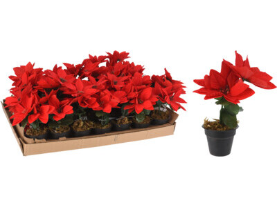 Kerstbloem 17cm 3 bloemen