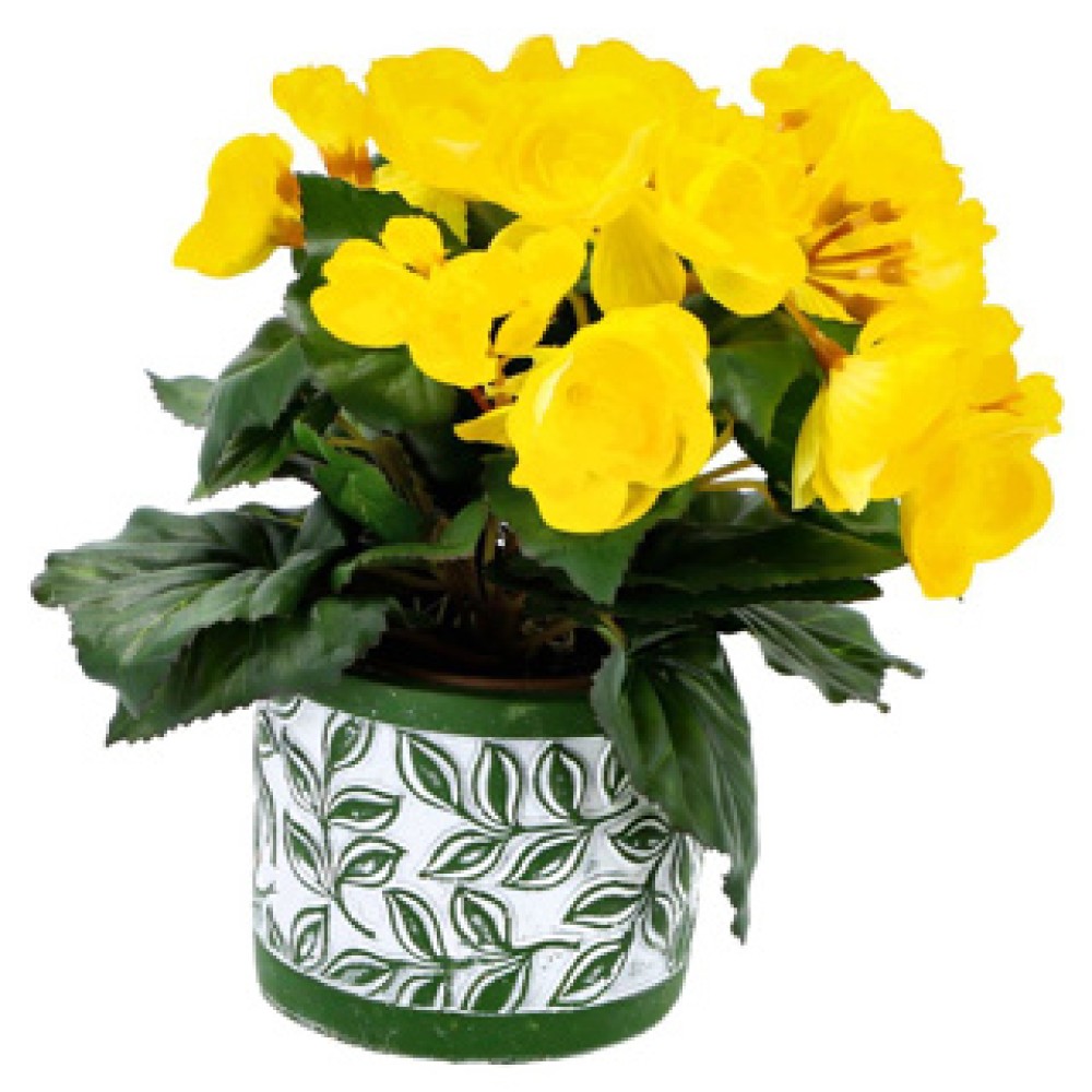 Pot Olea cylinder groen 11 cm