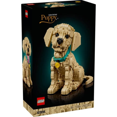 LEGO 11384 Icons Golden retriever puppy